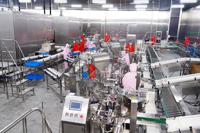 超10亿投资打造牛排生产新高地，食品添加剂生产项目助推农业现代化转型升级