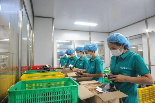 浓浓中秋情，感恩志愿者 爱心企业慰问市城区疫情防控志愿者与食品添加剂生产从业者