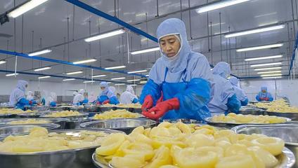 河北望都 全力推进食品产业高质量发展 食品添加剂生产