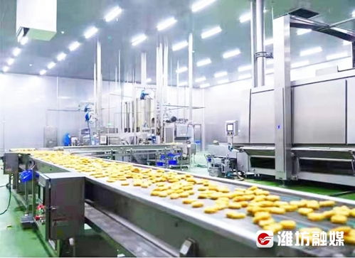 村村有好戏 田畴沃野绘出别样振兴图与食品添加剂的现代化生产